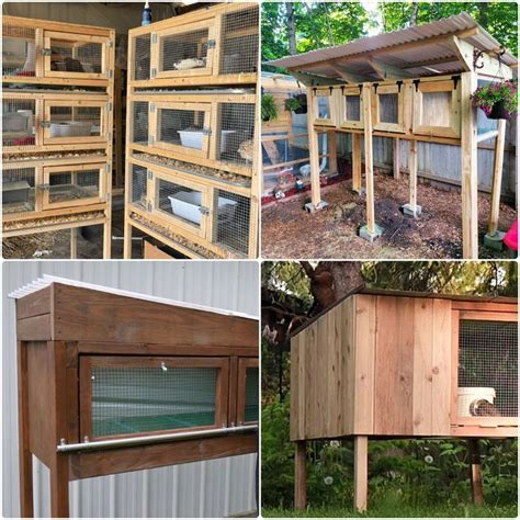 15 DIY Quail Cage Plans and Ideas for Every Poultry。